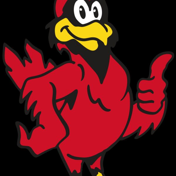 AR CARDINAL 26 RC Thumbnail