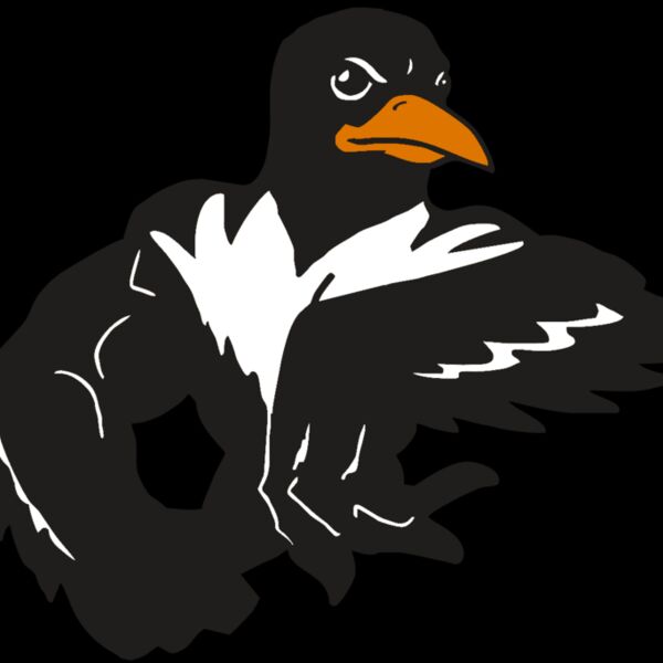 AR ORIOLE 22 RC Thumbnail